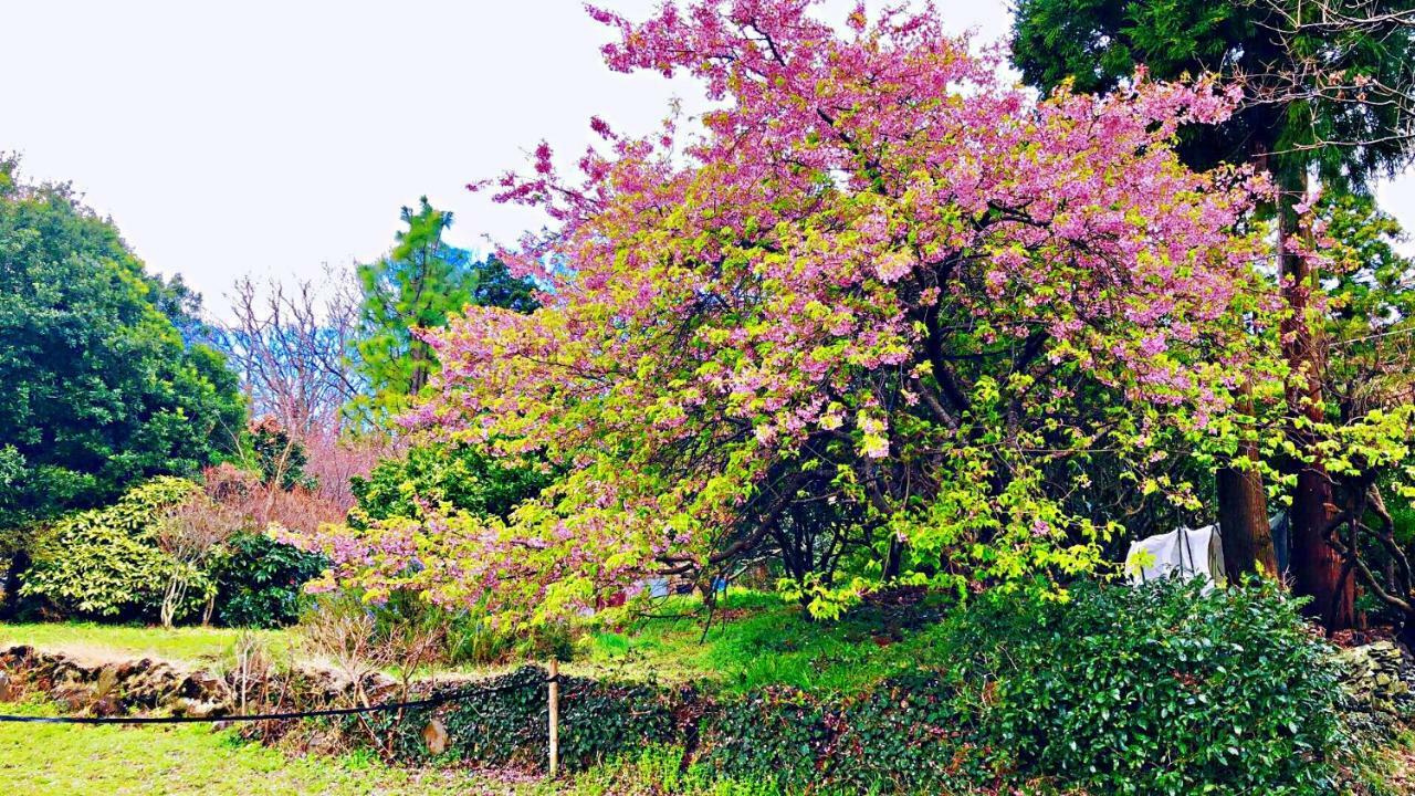 Forest Villa Olive Futo Zewnętrze zdjęcie