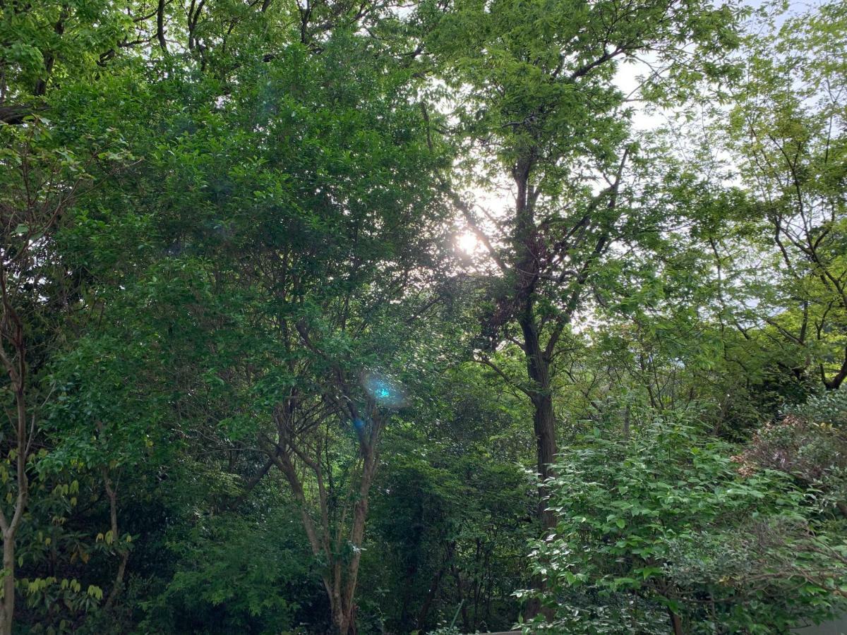 Forest Villa Olive Futo Zewnętrze zdjęcie